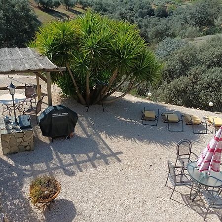 Hacienda La Buena Vida B&B En Appartementen Casita Almendas La Carrera de la Viña Eksteriør bilde