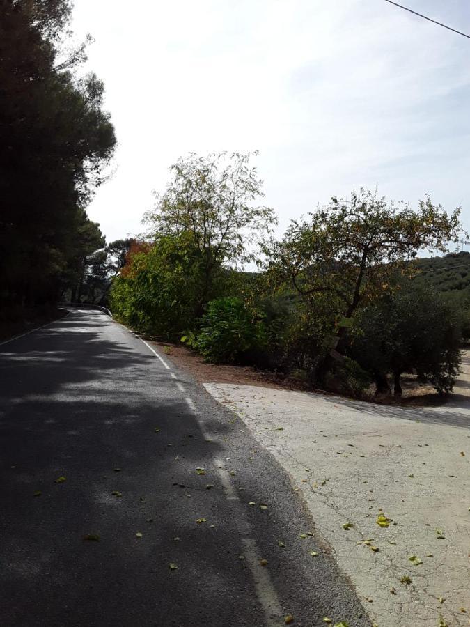 Hacienda La Buena Vida B&B En Appartementen Casita Almendas La Carrera de la Viña Eksteriør bilde