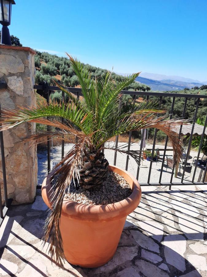Hacienda La Buena Vida B&B En Appartementen Casita Almendas La Carrera de la Viña Eksteriør bilde