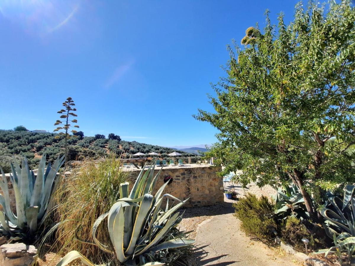 Hacienda La Buena Vida B&B En Appartementen Casita Almendas La Carrera de la Viña Eksteriør bilde