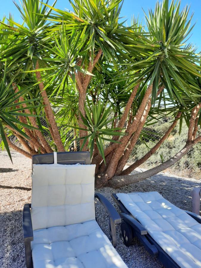 Hacienda La Buena Vida B&B En Appartementen Casita Almendas La Carrera de la Viña Eksteriør bilde