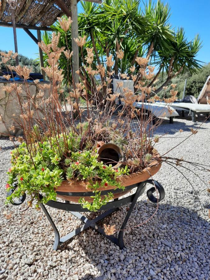 Hacienda La Buena Vida B&B En Appartementen Casita Almendas La Carrera de la Viña Eksteriør bilde