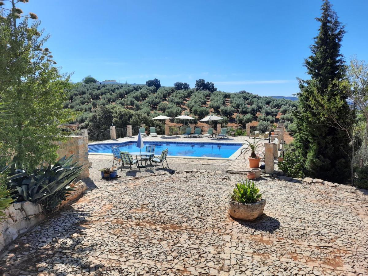 Hacienda La Buena Vida B&B En Appartementen Casita Almendas La Carrera de la Viña Eksteriør bilde