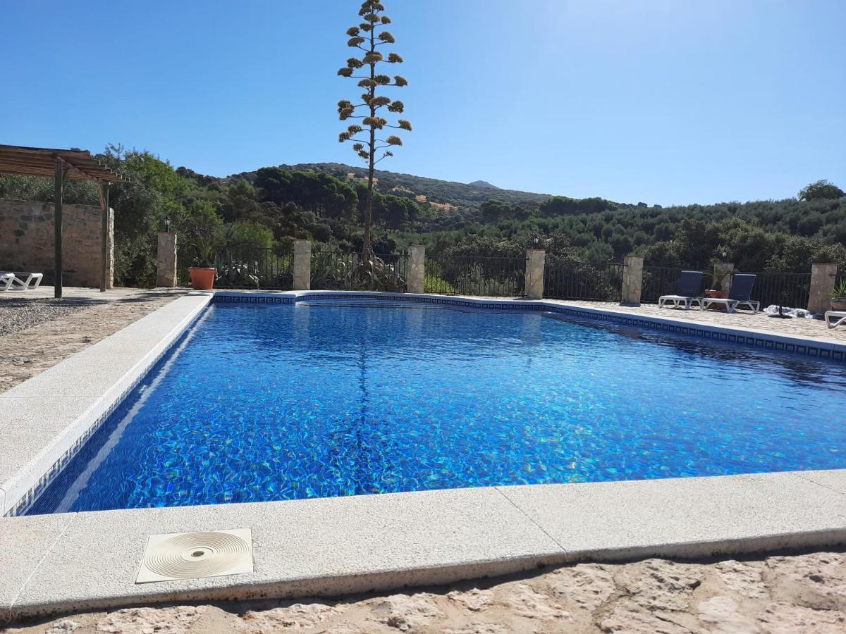Hacienda La Buena Vida B&B En Appartementen Casita Almendas La Carrera de la Viña Eksteriør bilde