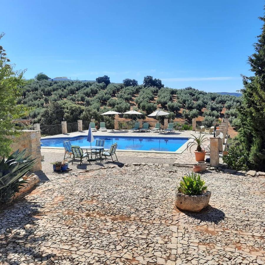 Hacienda La Buena Vida B&B En Appartementen Casita Almendas La Carrera de la Viña Eksteriør bilde