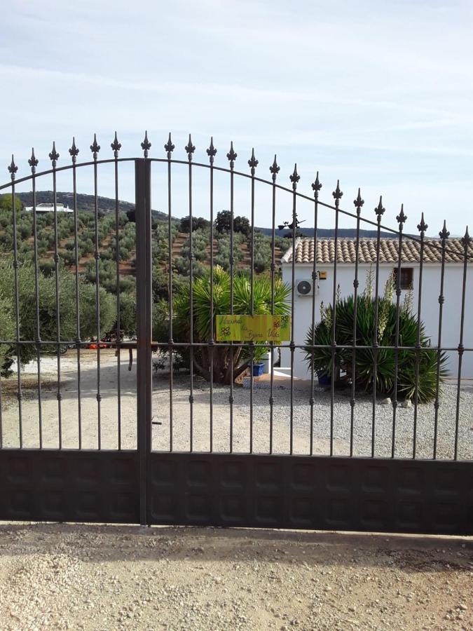Hacienda La Buena Vida B&B En Appartementen Casita Almendas La Carrera de la Viña Eksteriør bilde