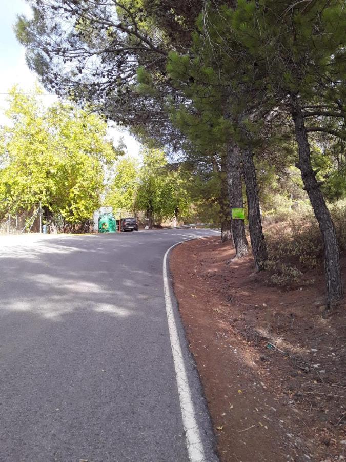 Hacienda La Buena Vida B&B En Appartementen Casita Almendas La Carrera de la Viña Eksteriør bilde