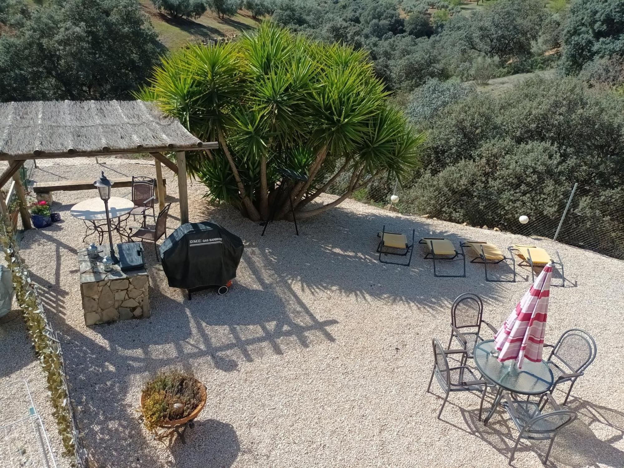 Hacienda La Buena Vida B&B En Appartementen Casita Almendas La Carrera de la Viña Eksteriør bilde